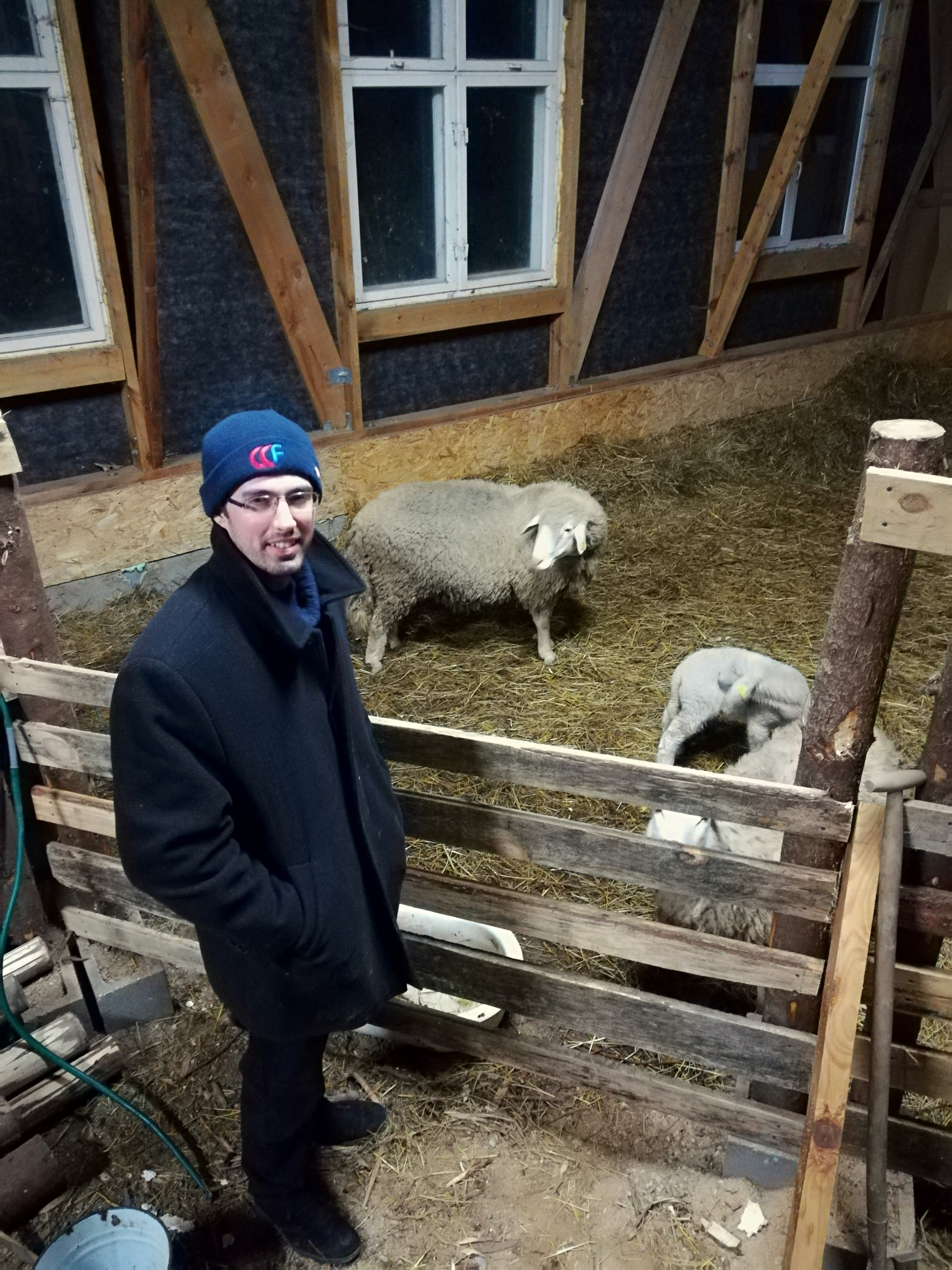 Work photo 13 — Martynas Pliopa on the job
